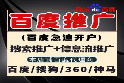 探索关键词竞价排名的成功之路：企业案例研究